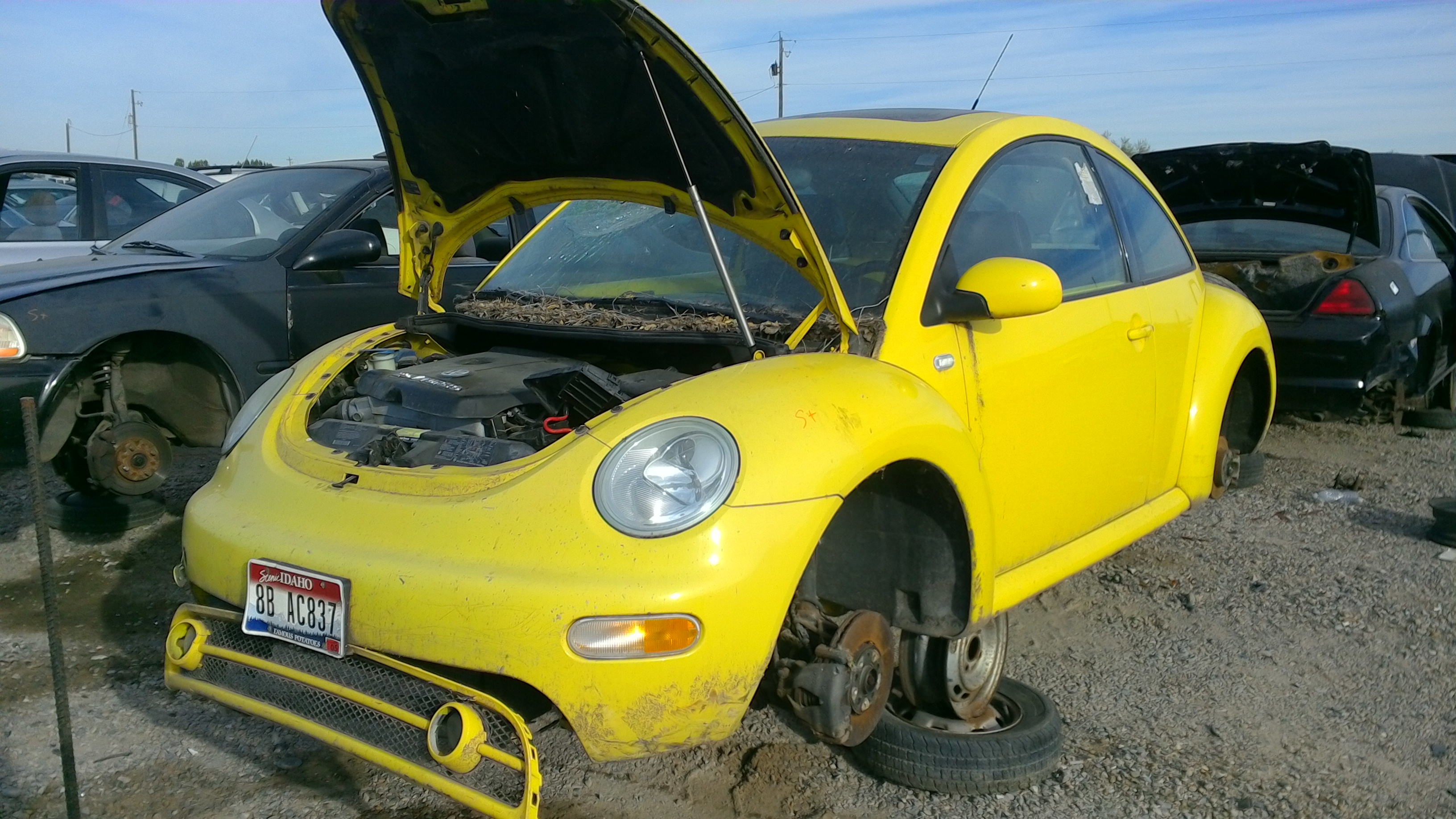 2002 VOLKSWAGEN BEETLE